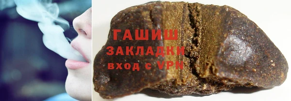прущие грибы Заводоуковск