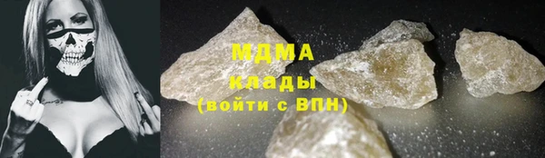 прущие грибы Заводоуковск