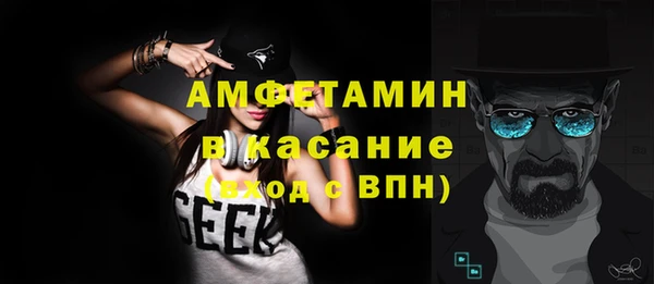 прущие грибы Заводоуковск