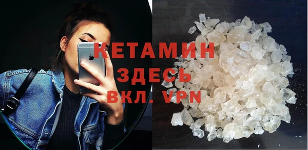 прущие грибы Заводоуковск