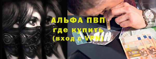 прущие грибы Заводоуковск