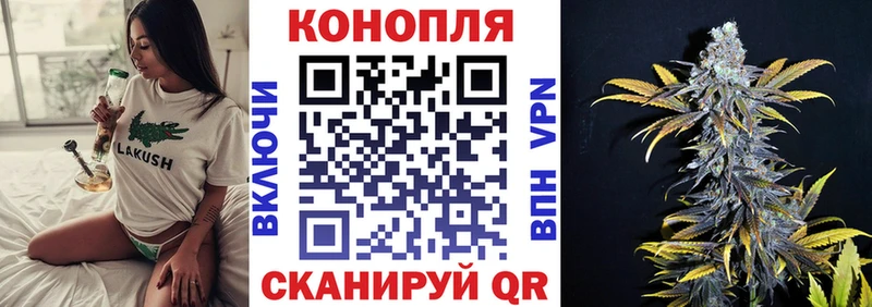Купить где  Белоозёрский  Бошки Шишки марихуана 